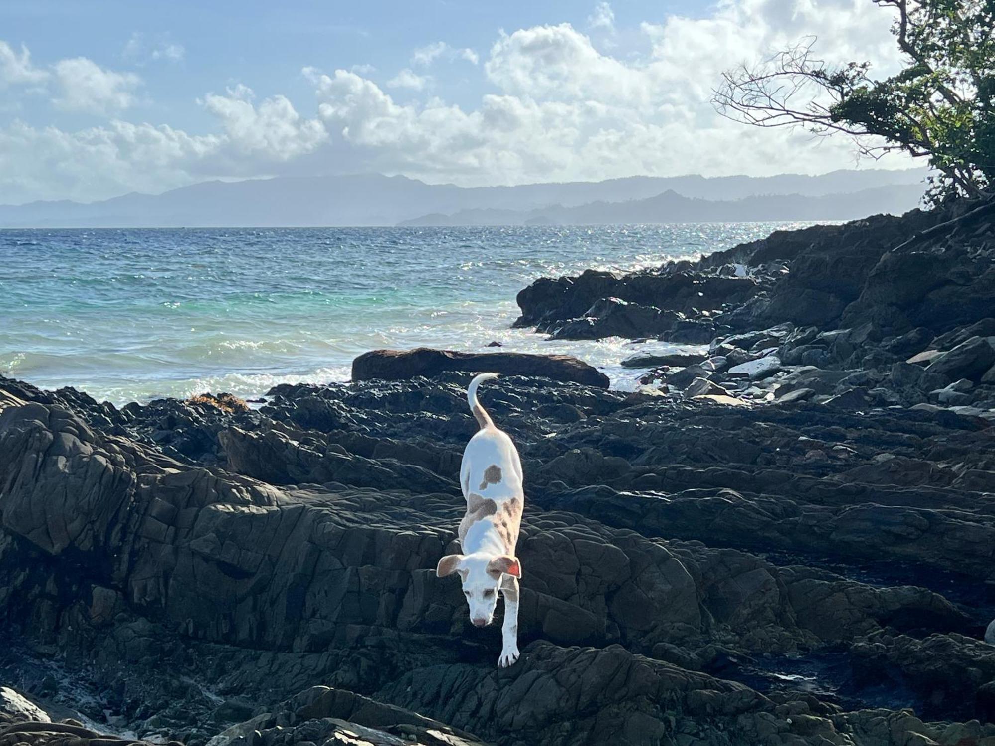 Nobi'S Inn, Port Barton サン・ヴィチェンテ エクステリア 写真